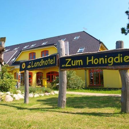 Landhotel Zum Honigdieb Ribnitz-Damgarten Kültér fotó
