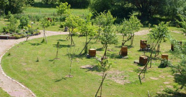 Landhotel Zum Honigdieb Ribnitz-Damgarten Kültér fotó
