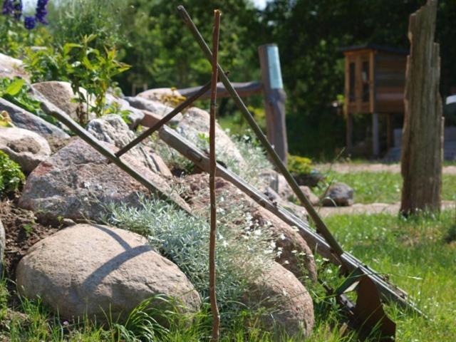 Landhotel Zum Honigdieb Ribnitz-Damgarten Kültér fotó